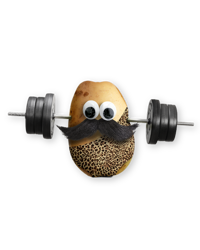 Leopard spud