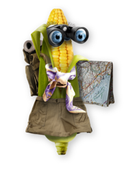 Sally sweetcorn